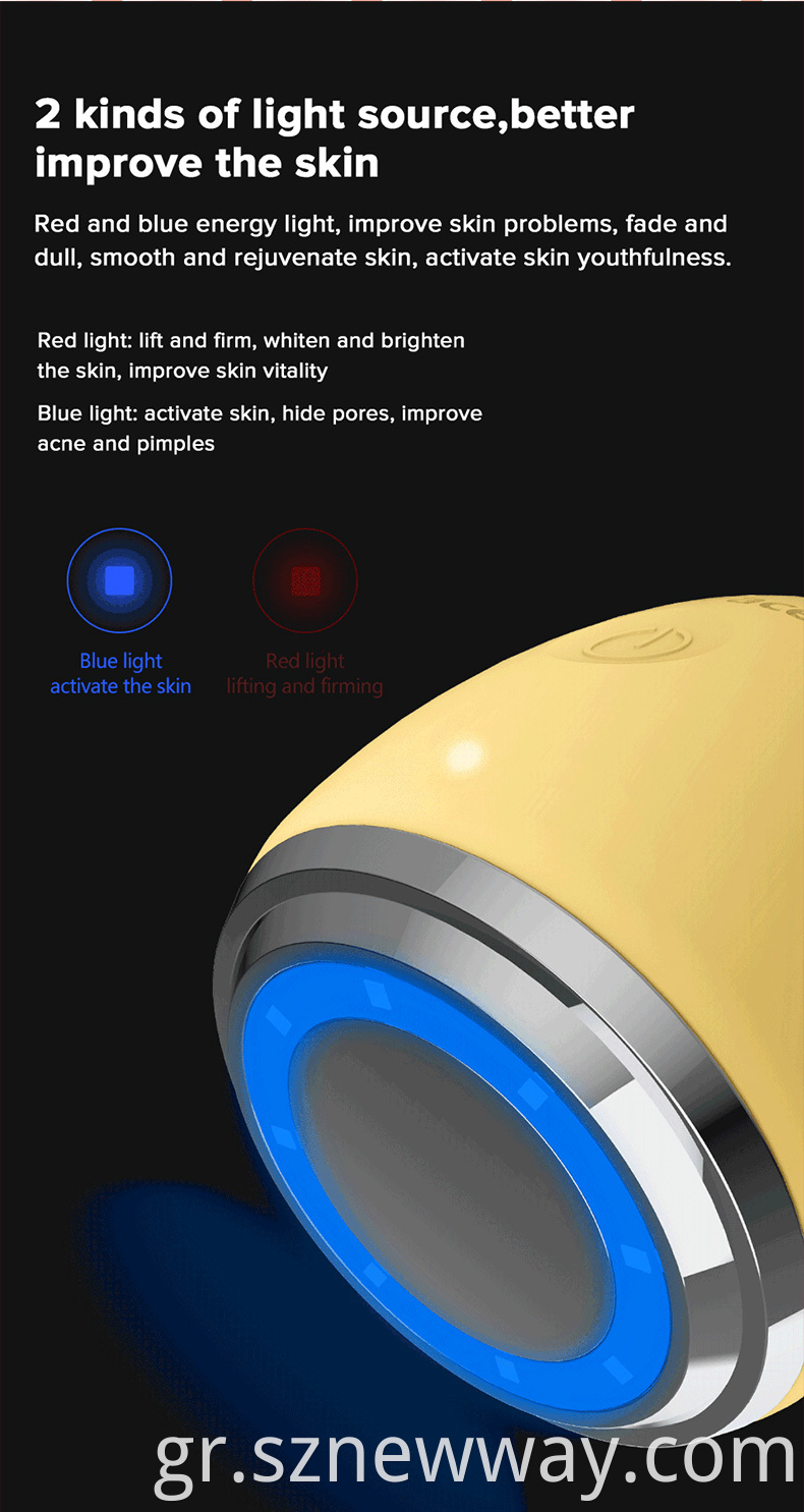 Inface Ion Facial Device